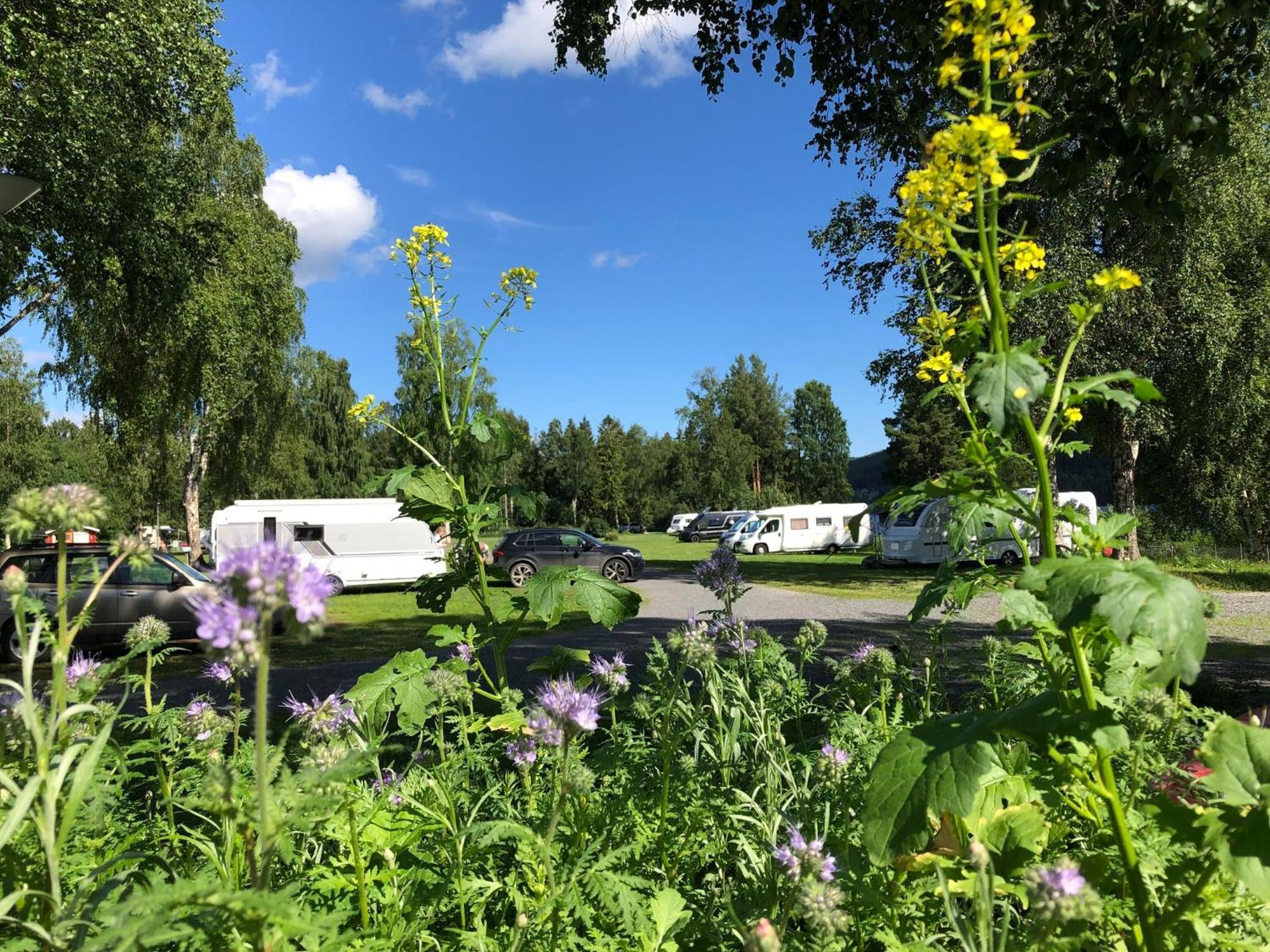 2 Persoons Stuga Hammarstrand ภายนอก รูปภาพ